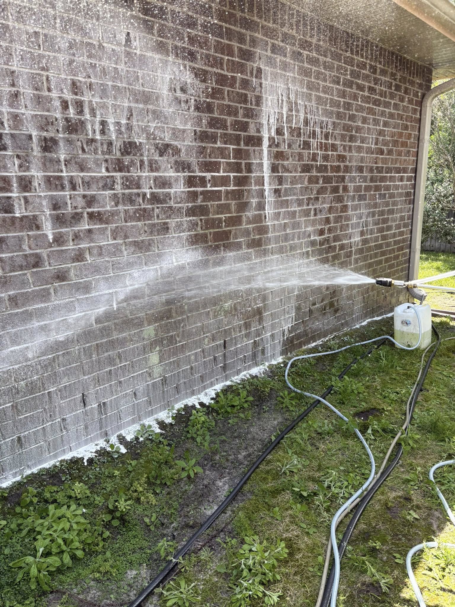 Soft washing project