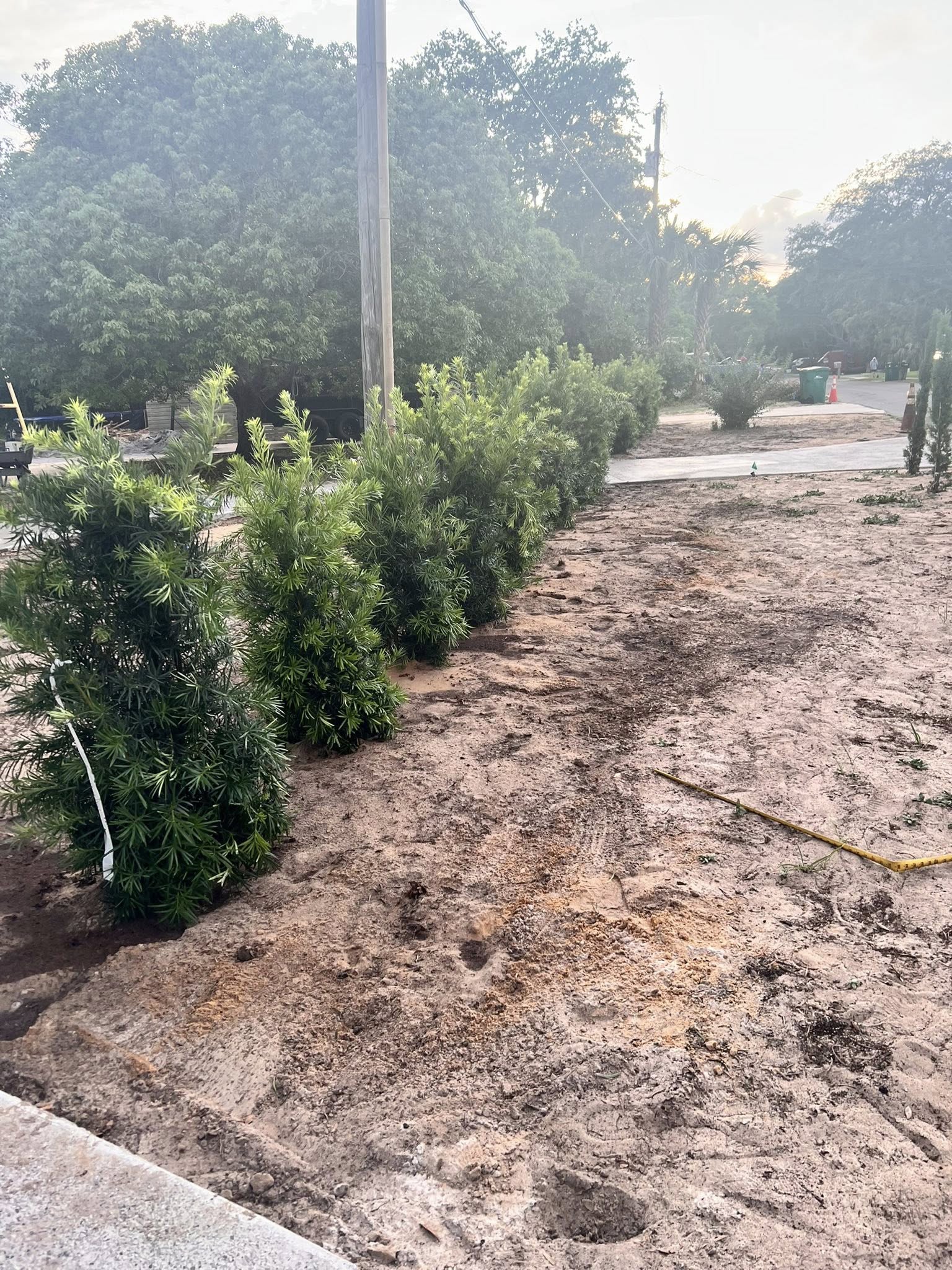 Concrete cleaning project